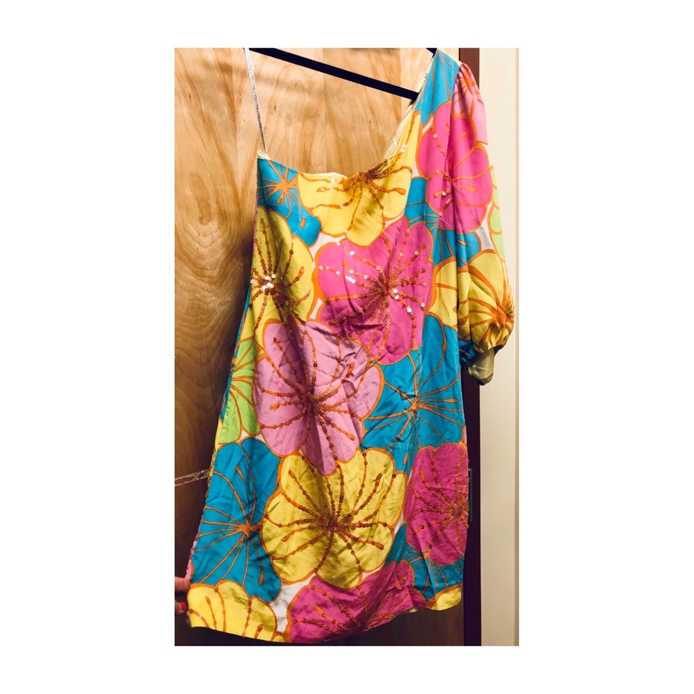Lilly Polzer dress, size 10